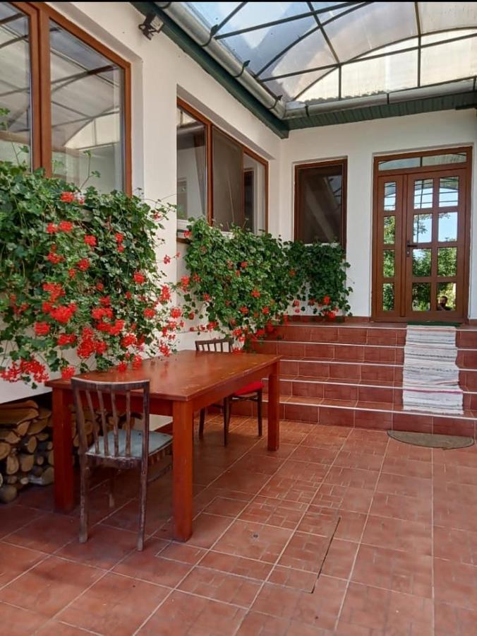 Elza Guesthouse Риметя Экстерьер фото